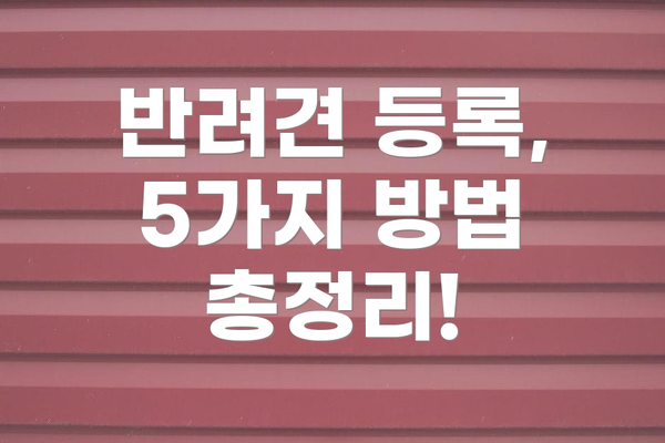 반려견 등록, 5가지 방법 총정리!