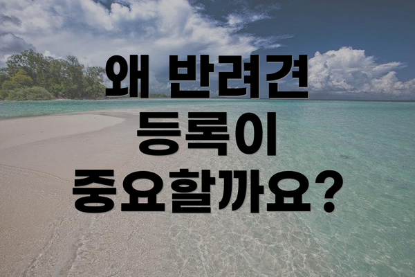 왜 반려견 등록이 중요할까요?