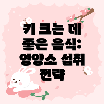 키 크는 데 좋은 음식: 영양소 섭취 전략