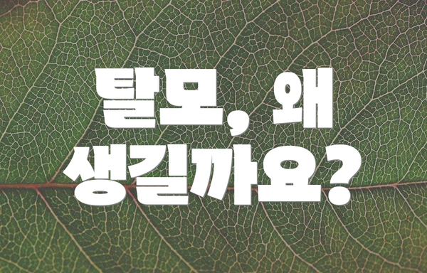 탈모, 왜 생길까요?