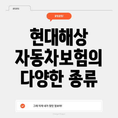 현대해상 자동차보험의 다양한 종류