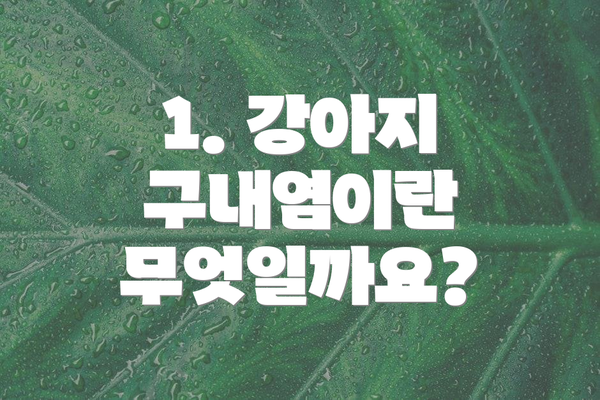 1. 강아지 구내염이란 무엇일까요?