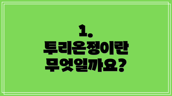1. 투리온정이란 무엇일까요?