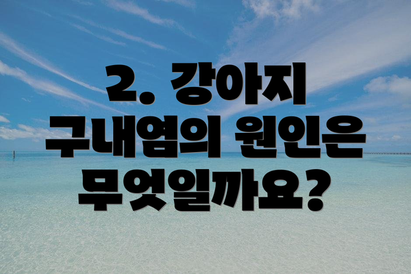 2. 강아지 구내염의 원인은 무엇일까요?
