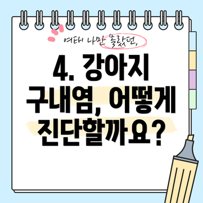 4. 강아지 구내염, 어떻게 진단할까요?