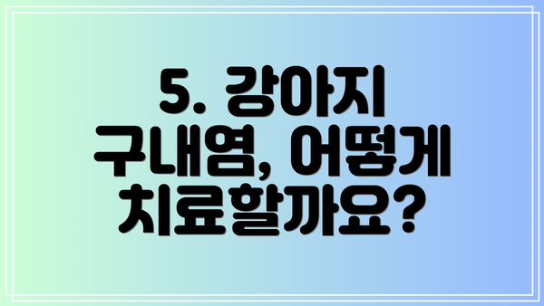 5. 강아지 구내염, 어떻게 치료할까요?