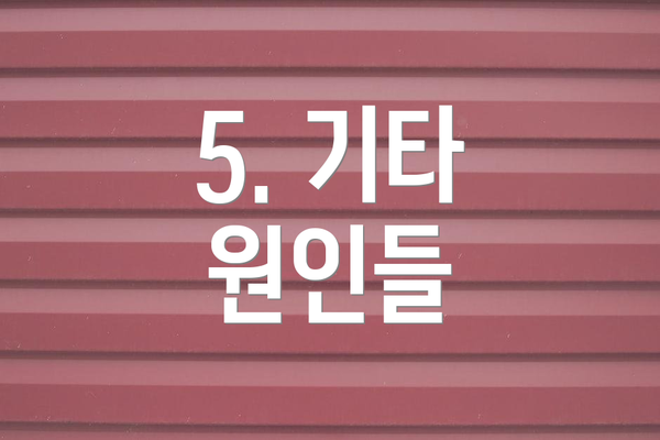 5. 기타 원인들