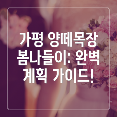 가평 양떼목장 봄나들이: 완벽 계획 가이드!