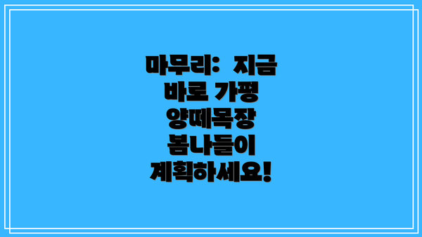 마무리: 지금 바로 가평 양떼목장 봄나들이 계획하세요!