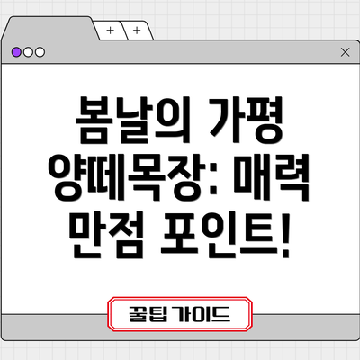 봄날의 가평 양떼목장: 매력 만점 포인트!