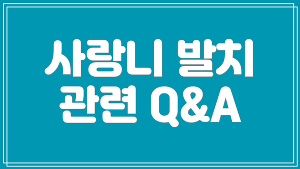 사랑니 발치 관련 Q&A
