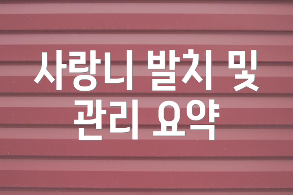 사랑니 발치 및 관리 요약