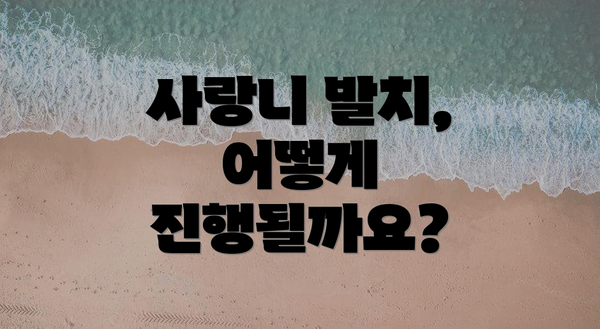 사랑니 발치, 어떻게 진행될까요?