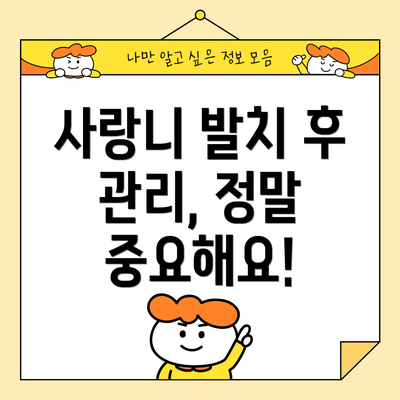 사랑니 발치 후 관리, 정말 중요해요!