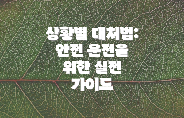 상황별 대처법: 안전 운전을 위한 실전 가이드