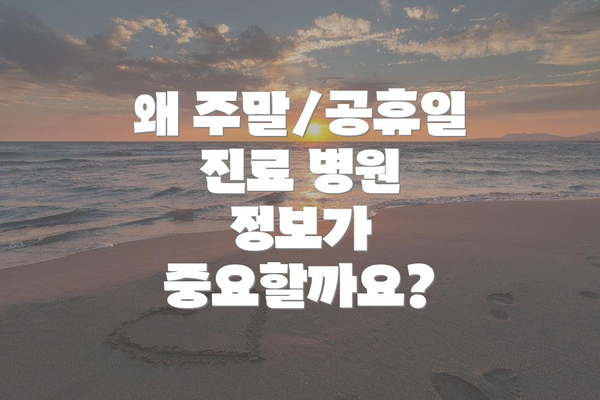 왜 주말/공휴일 진료 병원 정보가 중요할까요?