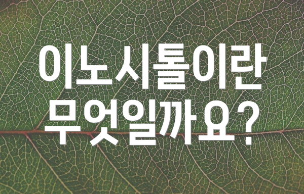 이노시톨이란 무엇일까요?