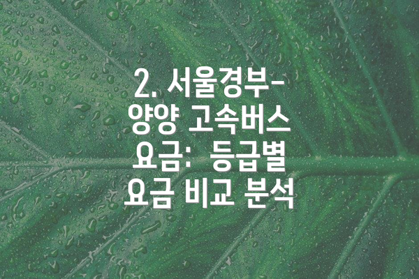 2. 서울경부-양양 고속버스 요금: 등급별 요금 비교 분석