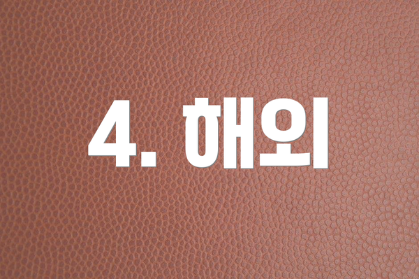 4. 해외
