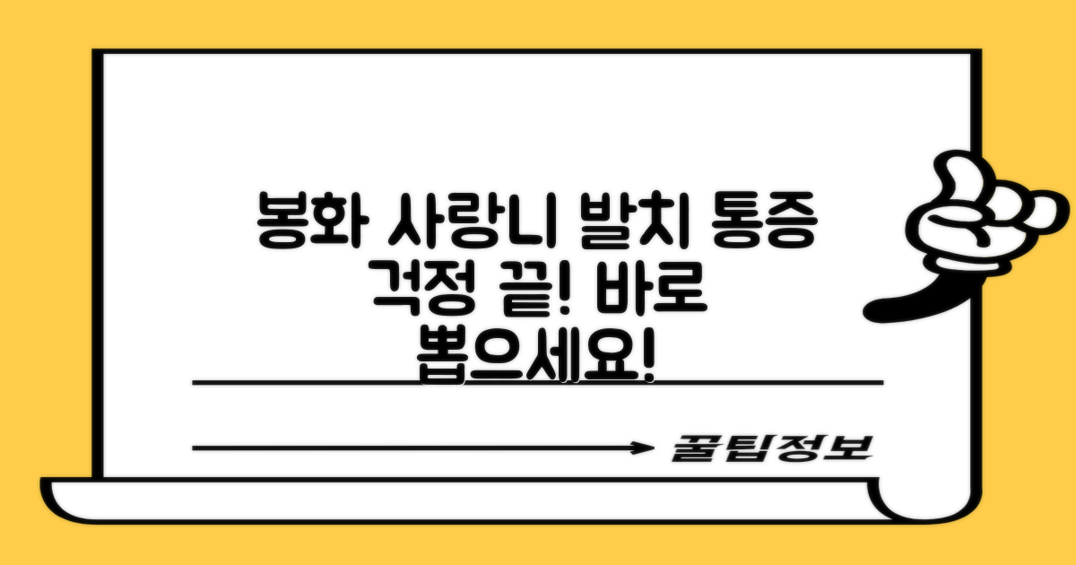 봉화 사랑니 발치, 통증 걱정 NO