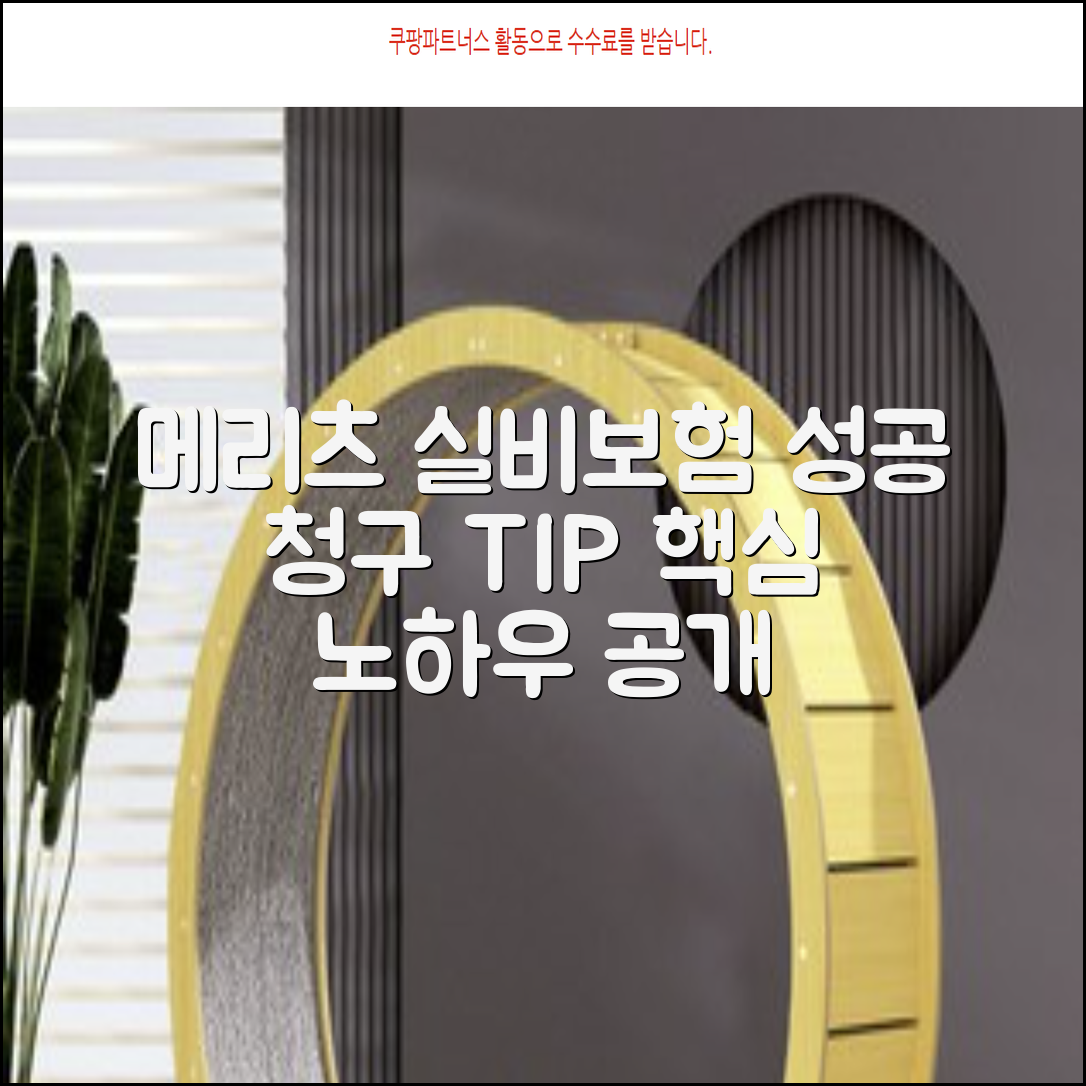 메리츠화재 실비보험 청구를 성공적으로 하는 TIP과 노하우