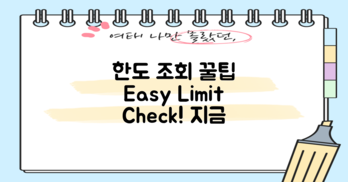 한도 조회 방법 설명