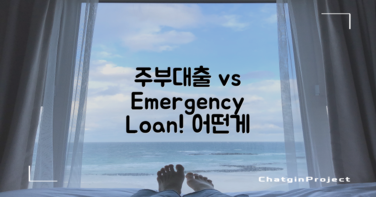 주부대출 vs 비상금대출