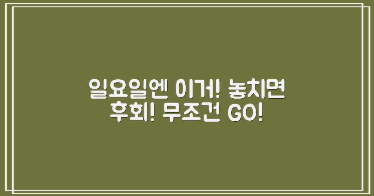 일요일에도 놓치지 마!