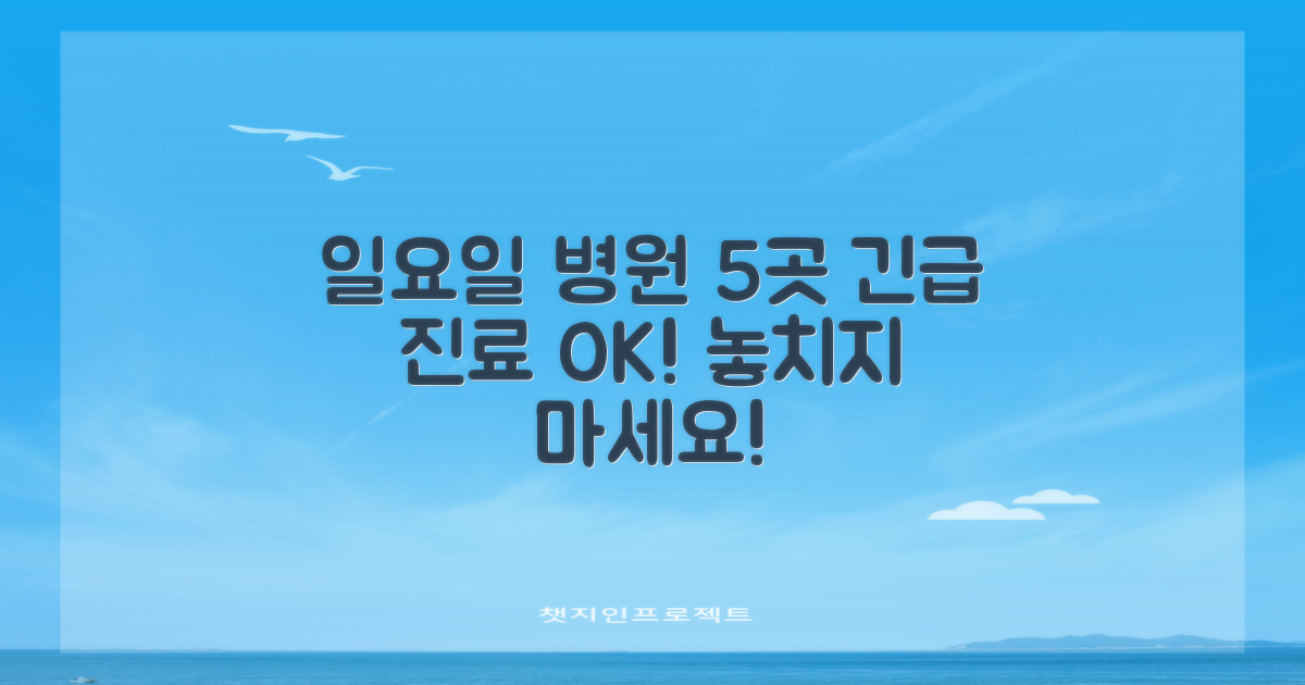 일요일 진료 5곳 추천